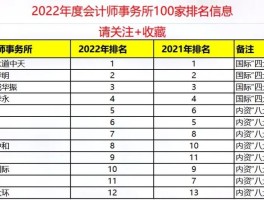 中瑞岳华会计师事务所排名