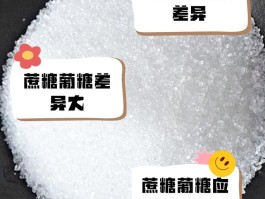 蔗糖由哪两个单糖组成(乳糖由哪两个单糖组成)
