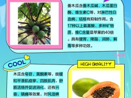 番木瓜和木瓜的区别