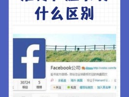 脸书是什么意思