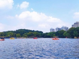 上海长风公园在哪个区