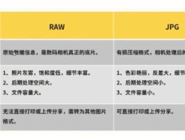 raw格式的特点是什么(raw格式的特点是什么意思)