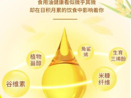 米糠油的好处和坏处(米糠油是什么东西提炼的油?)