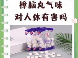 樟脑丸气味对人体有害吗