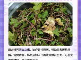 崩大碗的作用和功能主治(崩大碗功效与作用及禁忌)