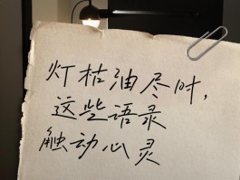 梦晚秋事件怎么回事(梦晚秋是干啥的)
