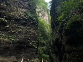 野山坡的位置在哪