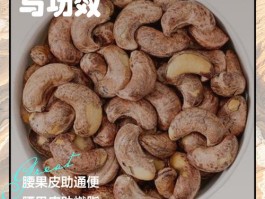 腰果的功效与作用及营养价值(腰果的功效与作用)