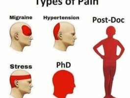 phd和博士的区别(phd是什么意思啊)