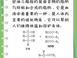 甘油三酯高是什么意思