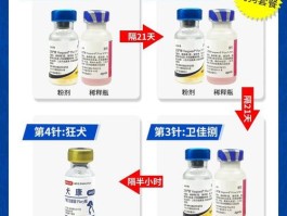 美国辉瑞狗狗疫苗多少钱一针(狗狗美国辉瑞疫苗与中国疫苗的区别)