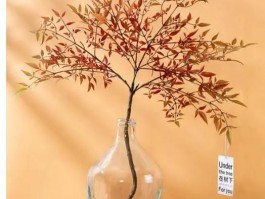 花艺设计(花艺设计英文)