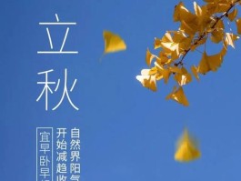 今年立秋后是热还是凉快处暑