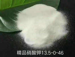 硝酸钾是什么制成的(硝酸钾是什么制成的盐)
