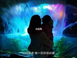 上海长风公园海洋世界门票多少钱(上海长风公园海洋世界门票有优惠吗)