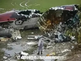 东航坠机不敢公布原因(东航坠机不敢公布原因p)