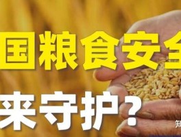 粮食转基因是什么意思