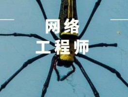 速易网络是做什么的(速易网络是做什么的软件)