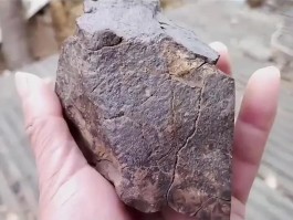 板岩是由什么岩石变质而成