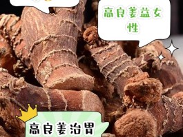 高良姜是什么