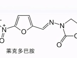 莱克多巴胺是什么东西(盐酸克伦特罗原料药生产厂家)
