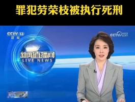 人法网执行记录查询收费标准(人法网执行记录多久更新一次)