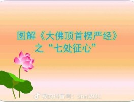 狂骂小佛30分钟在哪里可以听