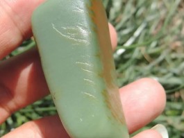 沙枣青籽料的特征(沙枣青籽料的特征及价格)