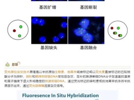同位素标记法和荧光标记法的区别