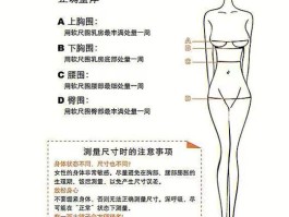 人体身高黄金比例是多少