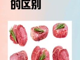牛脂肪的功效与作用