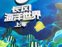 上海长风公园水族馆门票多少钱