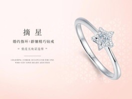 小鸟钻石怎么样(小鸟钻石怎么样好看吗)