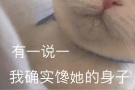 u1s1是什么梗？u1s1是什么意思？