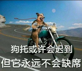 狗托是什么梗？狗托是什么意思？