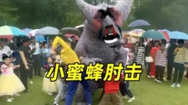 小蜜蜂肘击是什么梗？小蜜蜂肘击是什么意思？