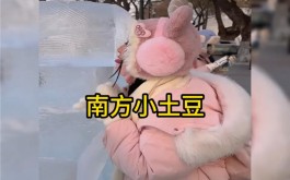 南方小土豆是什么梗？南方小土豆是什么意思？