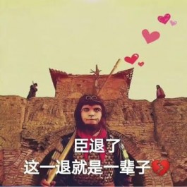 臣这一退就是一辈子是什么梗？臣这一退就是一辈子是什么意思？