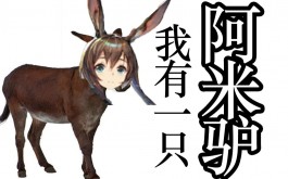 阿米驴是什么梗？阿米驴是什么意思？